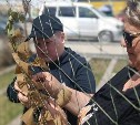 "Завязали узелок победы": в Луговом прошла благотворительная акция в помощь фронту 