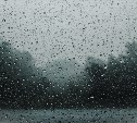 На севере снег, на юге дождь: какой будет погода во всех районах Сахалинской области 15 апреля