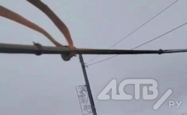 Провод четвёртый день нависает над проезжей частью в селе Сокол