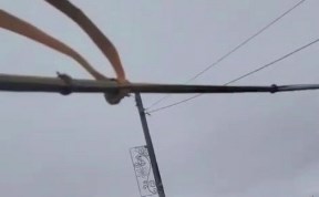 Происшествия