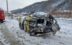 Происшествия