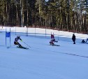 Сахалинские горнолыжники заняли второе место на этапе Кубка России