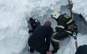 Общество