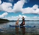 "Утренняя йога" победила на фотоконкурсе домашних питомцев