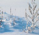 Температура воздуха на юге Сахалина поднимется выше 0 градусов