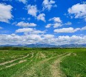 На севере пасмурно, на юге - жара: какой будет погода в районах Сахалинской области 25 июня