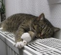 В Невельске на несколько часов отключат отопление