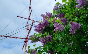 Общество