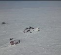 Единственный участник номинации "Молодой каюр" завершил гонку "Берингия" на Камчатке 