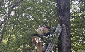 Происшествия