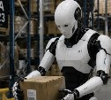 Названы профессии, которые первыми заменит ИИ