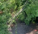 В Шахтёрске завершили первый этап расчистки реки Шахтёрки