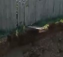 Перед калиткой вырыли котлован: пенсионерка на Сахалине перелезала через забор, чтобы попасть в магазин