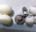 Яйца с пугающей начинкой купила жительница Южно-Сахалинска в дискаунтере