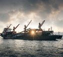 Угольный морской порт "Шахтерск" осуществил погрузку 100-го балкера