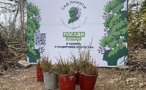 Общество