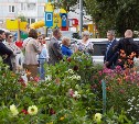 Жители улицы Милицейской в Южно-Сахалинске попросили набережную во дворе