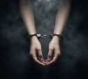 Сахалинка заказала через интернет крупную партию наркотиков, но не смогла сбыть ее островитянам