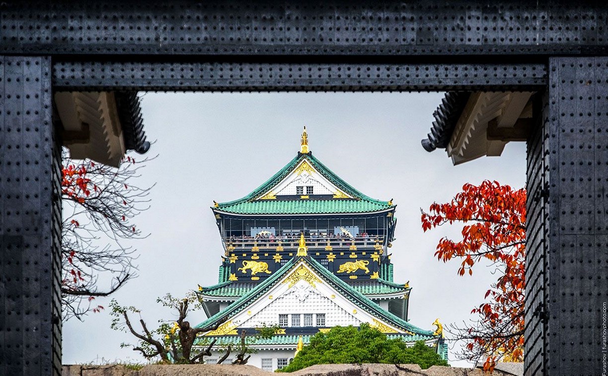 «Прелесть японской провинции» покажут сахалинцам в областном краеведческом музее
