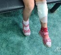 Следователи на Сахалине приобщили факт нападения на 7-летнюю девочку к другому уголовную делу за халатность