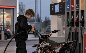Общество