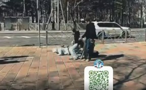 Происшествия