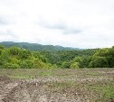 Свалку в Синегорске рекультивируют раньше срока