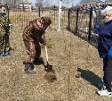 Больше 11 тысяч растений высадят в Сахалинской области