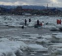 Сахалинцы спасли попавших в ледяной плен косаток