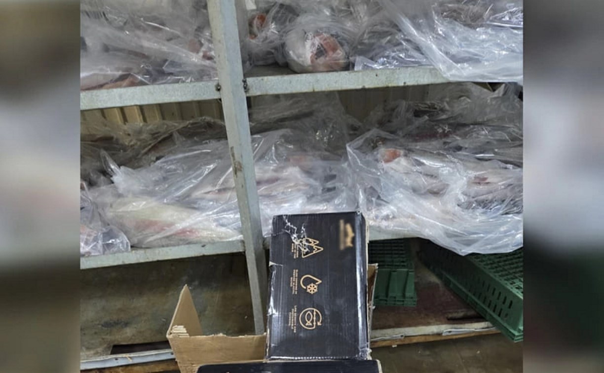 Житель Южно-Сахалинска продавал деликатесы из форели под видом чавычи