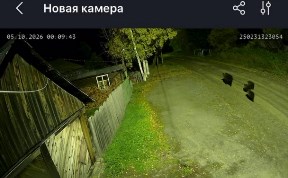 Происшествия