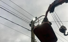 Общество