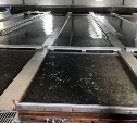 В Сахалинской области за год заложили на инкубацию больше 1,3 млрд икринок тихоокеанских лососей