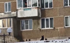 Общество