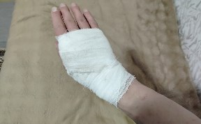 Происшествия