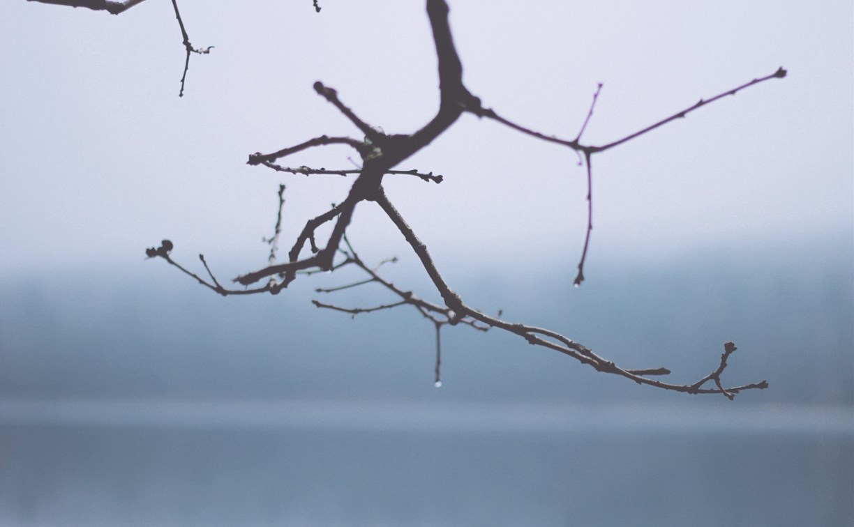 Ветер до 28 м/с, осадки, гололедица: уточнённый прогноз для Сахалинской области на 23 февраля