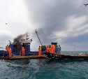 Рыболовы Итурупа зафиксировали один из худших результатов добычи горбуши за последние годы
