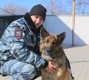 Пёс-полицейский в Южно-Сахалинске задержал преступника, спрятавшегося в кустах у речки