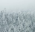 Ночью морозно, днём теплее: прогноз погоды в Сахалинской области на 23 января