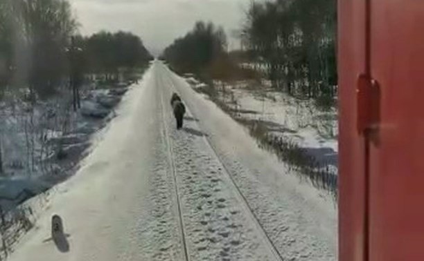 Два грустных пони бежали перед поездом на Сахалине - видео