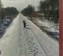 Два грустных пони бежали перед поездом на Сахалине - видео