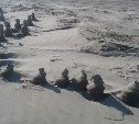 Загадочные песчаные сталагмиты выросли в заливе Мордвинова