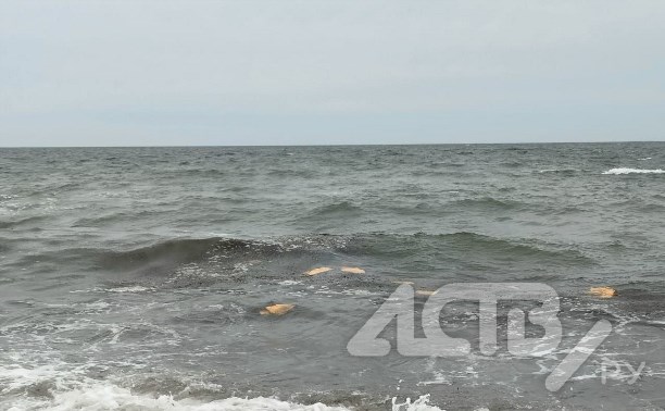 Сотни оранжевых пакетов прибило к берегу на Сахалине