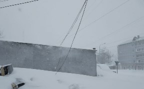 Общество