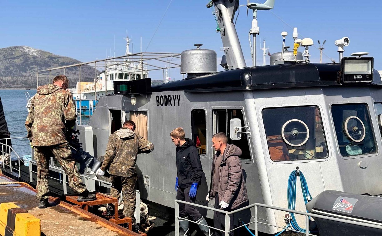 На Южных Курилах стартовала экспедиция по изучению краснокнижного калана