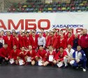 Четверо сахалинских самбистов отправятся на чемпионат и первенство России