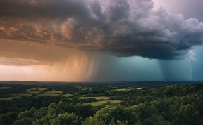 Общество