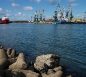Минтранс России поможет Сахалину развивать Невельский и Холмский порты