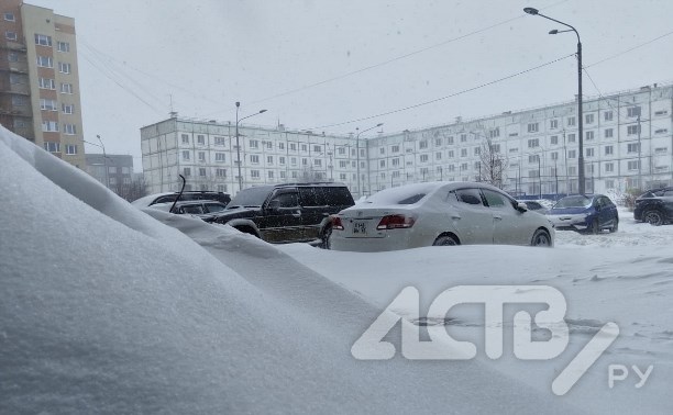 Второй день метели на юге Сахалина: какие автобусы отменили, где дороги закрыли