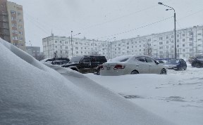 Общество